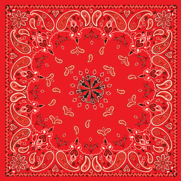 B003- Bandanna Red Paisley
