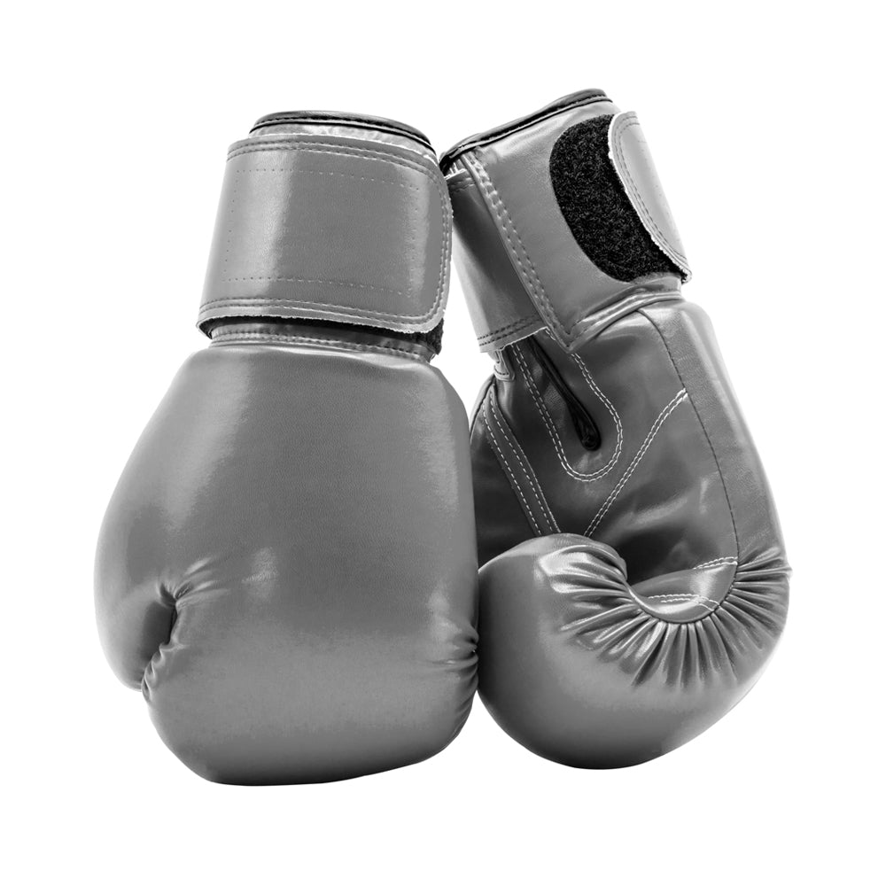 Titan Pro Boxing Gloves - Gray
